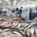 Tăng thị phần cho doanh nghiệp xuất khẩu thủy sản Việt