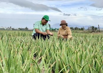 GC Food (GCF) đặt mục tiêu mở rộng thị trường tiêu thụ trong và ngoài nước