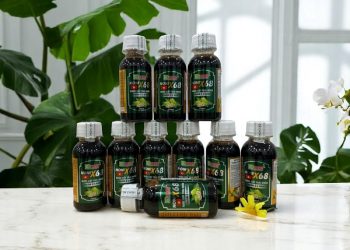 Hết mất ngủ hai mươi năm nhờ NONI X68: Bí quyết từ trái nhàu ngâm ủ 5 năm