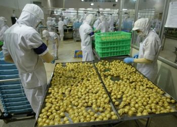 Củng cố sức cạnh tranh cho nông sản Việt