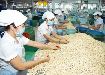 Xuất khẩu hạt điều Việt Nam đạt 2,8 tỷ USD sau 7 tháng
