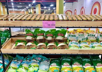 Dê Cố Đô Minh Nội lần đầu tiên xuất hiện cùng  TIC Group  – Trung tâm mua sắm TIC Mart
