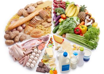 Mùa thi, học sinh cần “nạp” đủ chất dinh dưỡng