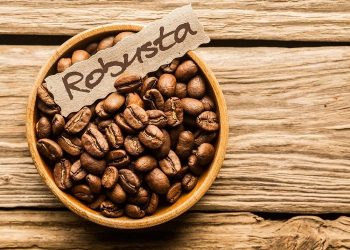 Việt Nam dẫn dắt đà tăng xuất khẩu cà phê robusta toàn cầu