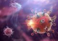 Việt Nam chưa ghi nhận ca mắc bệnh do virus Hanta, Bộ Y tế đưa ra 5 khuyến cáo
