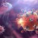 Việt Nam chưa ghi nhận ca mắc bệnh do virus Hanta, Bộ Y tế đưa ra 5 khuyến cáo
