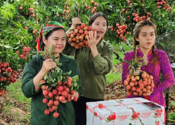 Khi tư duy 8X làm nên chuyện lớn: Hành trình đưa ruộng vườn lên “chợ số” của chị Nguyễn Thị Thủy Tiên