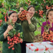 Khi tư duy 8X làm nên chuyện lớn: Hành trình đưa ruộng vườn lên “chợ số” của chị Nguyễn Thị Thủy Tiên