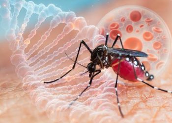 Không để sốt xuất huyết bùng phát diện rộng trong mùa mưa