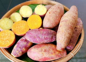 Ăn khoai lang suốt ngày, người phụ nữ 30 tuổi bất ngờ khi đi khám
