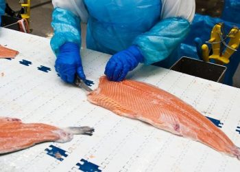 EU, Nhật Bản đồng loạt siết quy định SPS, nông sản xuất khẩu đối mặt yêu cầu khắt khe hơn