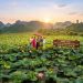 Chạm vào bình yên ở bản làng Mường Cốc
