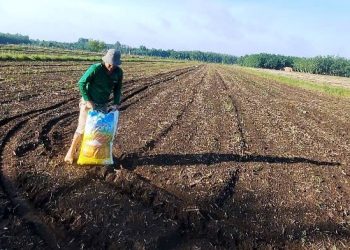 Giải nén áp lực chi phí sản xuất nông nghiệp