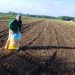 Giải nén áp lực chi phí sản xuất nông nghiệp