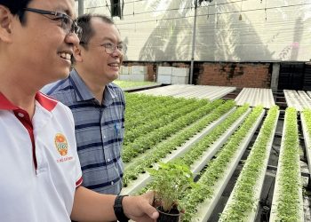 Mở rộng cánh cửa sản xuất rau an toàn cho nông hộ nhỏ
