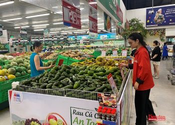 Kích hoạt hệ sinh thái thúc đẩy chuyển đổi xanh