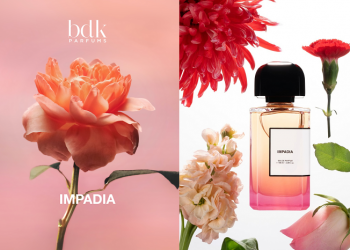 Impadia – Hình Ảnh Paris Dưới Góc Nhìn Nghệ Thuật